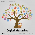 Script Technology Pvt. Ltd
