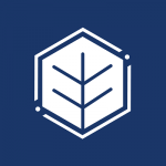 Sean Tasse REAL Collective | RE/MAX Hallmark