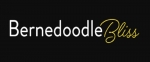 Bernedoodle Bliss