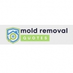 Sebastian County All-Star Mold Removal