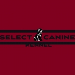 Select Canine Kennel
