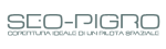 Consulente Seo | Seo Pigro