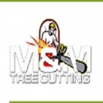 UNBEATABLE PRICED Tree Service Bronx