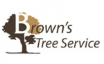 Arlington Tree Service Experts