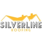 Silverline Roofing Ltd