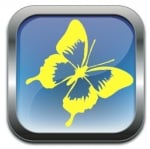 Social Butterfly Marketing