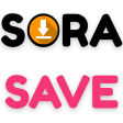 Sora Video Downloader