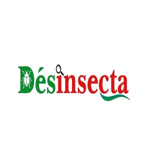 Desinsecta Dératisation Service - Entreprise Dés