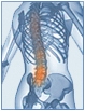 Oxford Osteopathy & Sports Injury Clinic (OSIC)