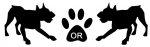 Dog or Dog