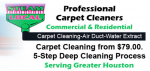 Steam Local Carpet Cleaning