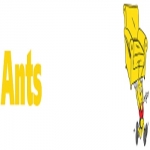 Ants Removals Ltd