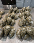 Strictly Top Weed