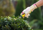 Super Gardener