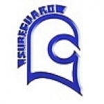 Sureguard Window Films