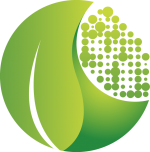 Eradicator Mold Remediation Services