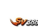 sv388