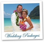 Sweet Hawaii Wedding