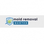 Tazewell County Pro Mold Removal
