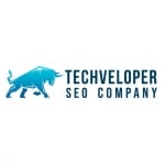 SEO Company - Techveloper Solutions Plt