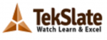 TekSlate INC
