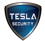 Tesla Security