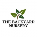The Backyard Nursery