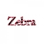 The Zebra Press