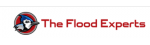 The Flood Experts