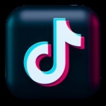 TikTok Video Downloader
