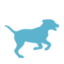 dog-training.me