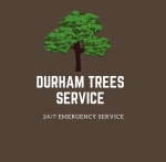 RJ Tree Service Pros
