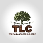 TreeRiskAssessment