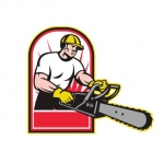 Tree Service Bridgewater