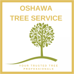 Oshawa Tree Service Ltd.