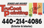 Trucoat Painting Plus 