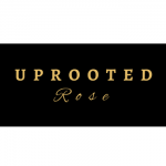 Uprooted Rose - Luxury Flowers Sarasota