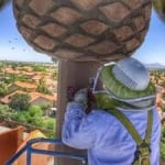 Varsity Termite and Pest Control