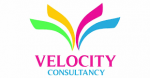 Velocity Consultancy