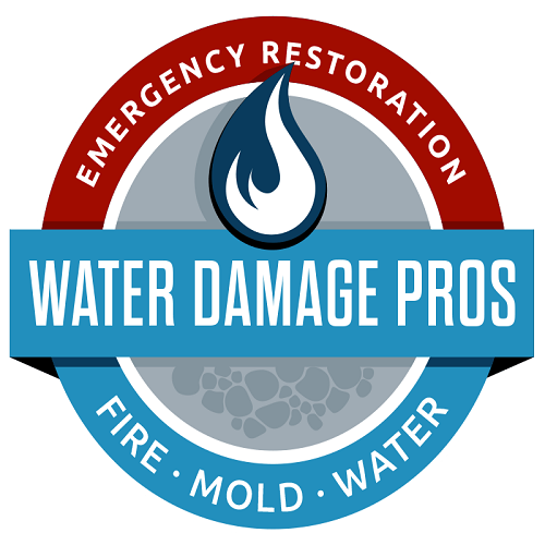 Water Damage Pros