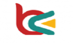 Web Design Agency London, UK  - Branex
