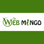 Web Mingo IT Solutions Pvt. Ltd.
