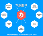 Wordpress Developer Online