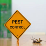 X Pest-Exterminators