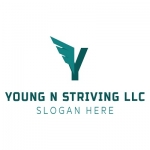 Young N Striving LLC