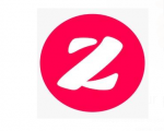 Zing Languages