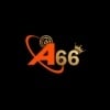 A666 Art