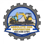 Absolute One Properties