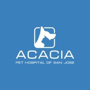 Acacia Pet Clinic San Jose