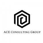 ACE Consulting Group